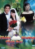 Chiếc Giường Chia Đôi (2011) (33 Tập)