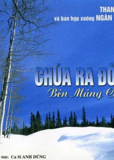 TNCD : Ca Đoàn Ngàn Thông – Chúa Ra Đời 2 – Bên Máng Cỏ