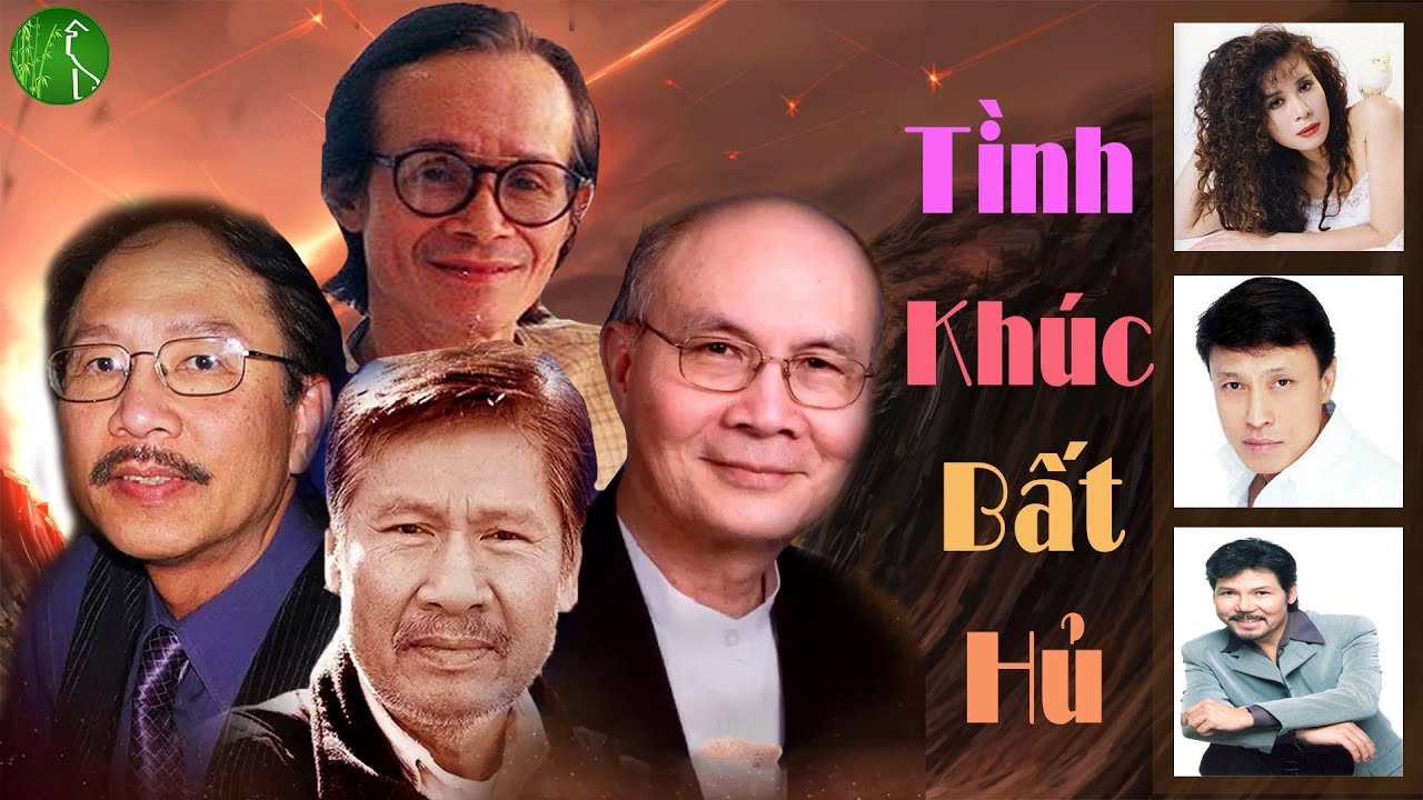 Tuyển tập tình khúc (Trịnh Công, Sơn, Vũ Thành An, Ngô Thuy Miên, Phạm Duy, Lam Phương, Thanh Sơn, Minh Kỳ, Phú Quang, Trần Thiện Thanh,..)