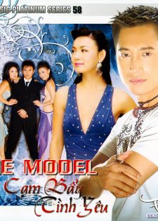 Tình Music Platinum Series 058 :Various Artists The Model – Cạm Bẫy Tình Yêu