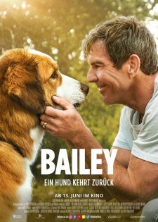 Hành Trình Của Chú Chó Bailey