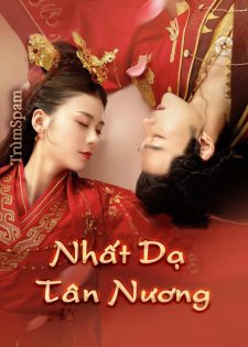 Nhất Dạ Tân Nương