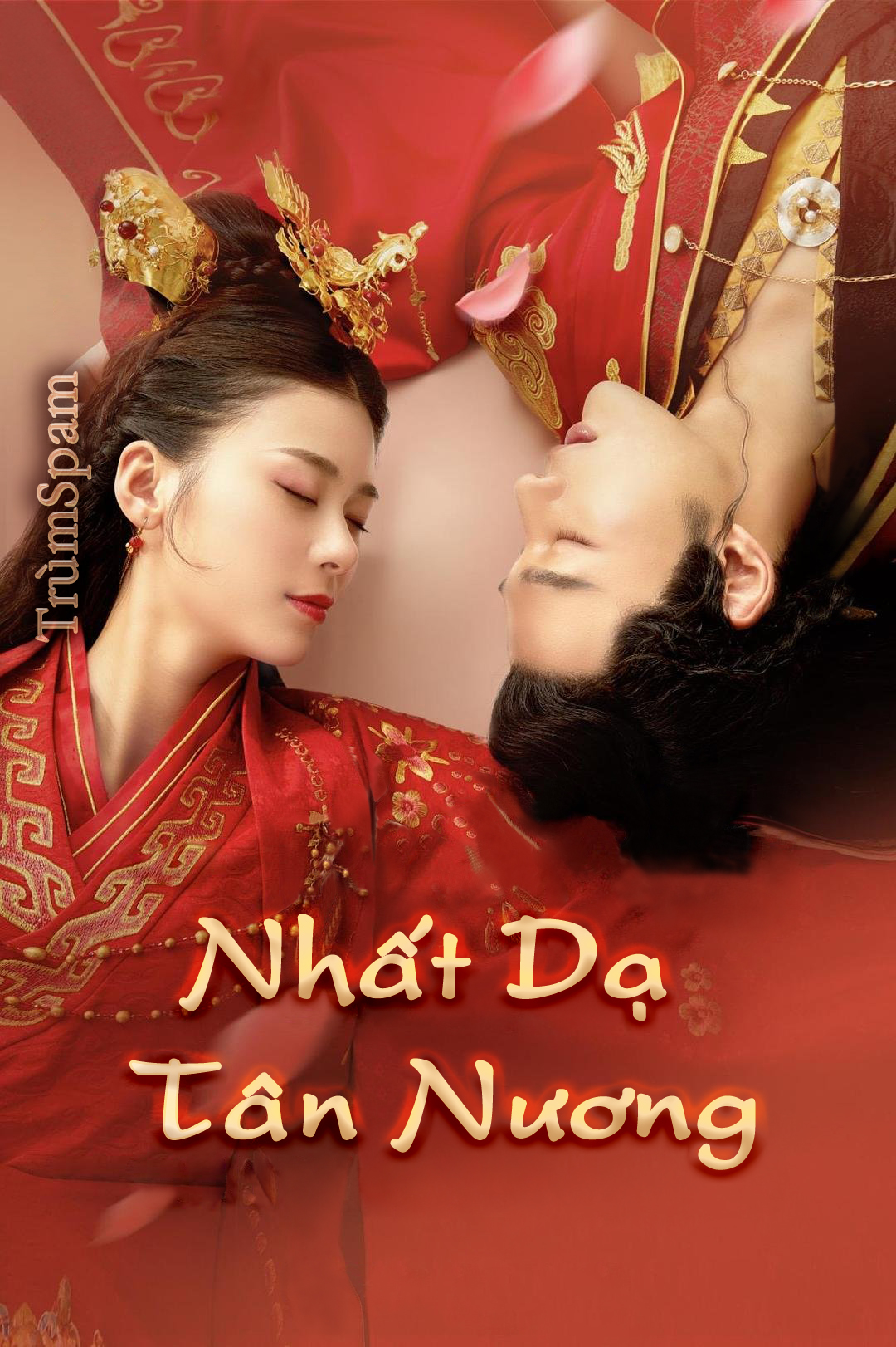 Nhất Dạ Tân Nương