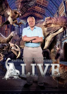 Bảo Tàng Lịch Sử Tự Nhiên Sống Của David Attenborough