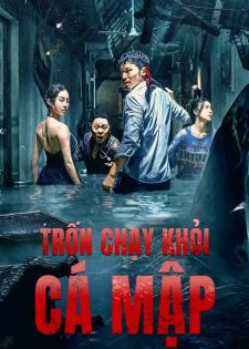 Trốn Chạy Khỏi Cá Mập