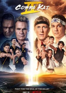 Võ Đường Cobra Kai: Phần 4