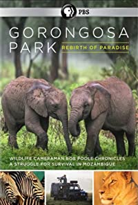 Công Viên Gorongosa: Sự Hồi Sinh Của Một Thiên Đường