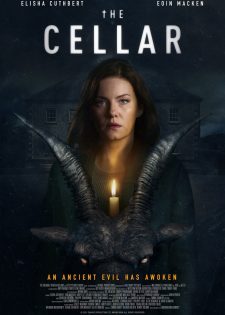 The Cellar