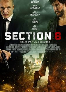 Section 8