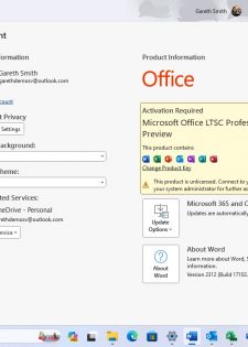 Microsoft Office 2024 Pro Plus