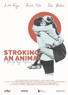 Stroking an Animal